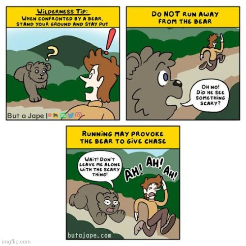 Bear chase | image tagged in bear,bears,chase,chasing,comics,comics/cartoons | made w/ Imgflip meme maker