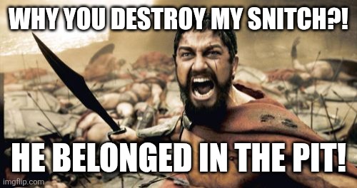 Sparta Leonidas Meme | WHY YOU DESTROY MY SNITCH?! HE BELONGED IN THE PIT! | image tagged in memes,sparta leonidas,funny,this is sparta,snitch | made w/ Imgflip meme maker