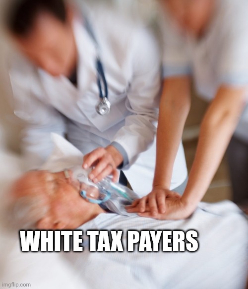 Revive! | WHITE TAX PAYERS | image tagged in revive | made w/ Imgflip meme maker