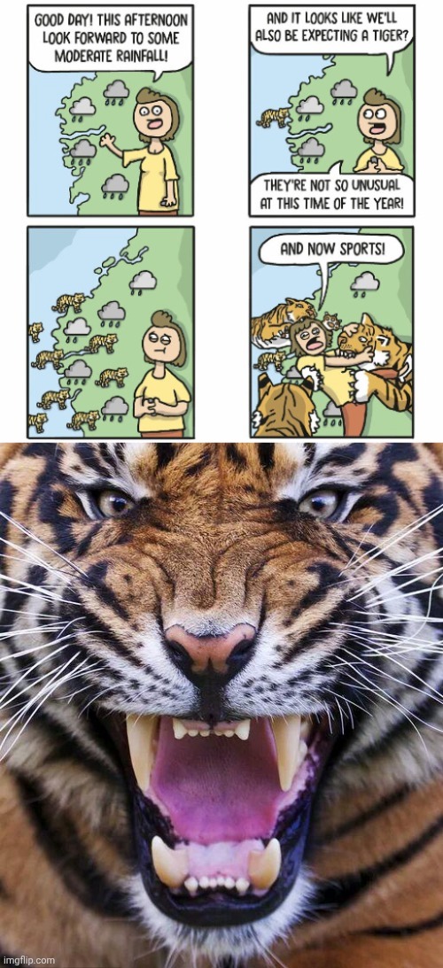 Raining FEROCIOUS tigers | image tagged in tiger2,tigers,comic,weather,dark humor,memes | made w/ Imgflip meme maker