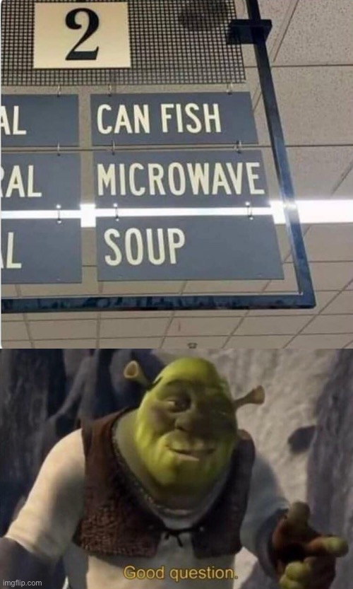 image tagged in shrek good question meme template | made w/ Imgflip meme maker
