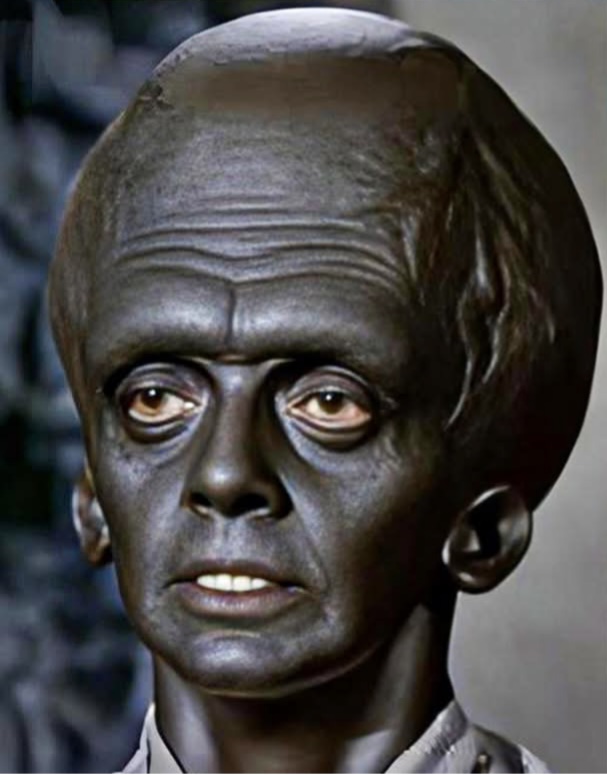 Somalian Blank Meme Template