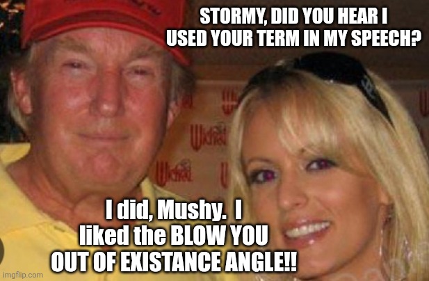 Ahem!   Nothing says gay like Blowing em out of existanve!! | STORMY, DID YOU HEAR I USED YOUR TERM IN MY SPEECH? I did, Mushy.  I liked the BLOW YOU OUT OF EXISTANCE ANGLE!! | image tagged in side chick | made w/ Imgflip meme maker