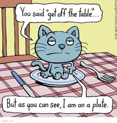 Cattitude | image tagged in cats,comics,cattitude,off the table,on a plate | made w/ Imgflip meme maker