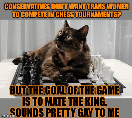 This #lolcat wonders why conservatives don't want trans women to compete in chess tournaments | CONSERVATIVES DON'T WANT TRANS WOMEN 
TO COMPETE IN CHESS TOURNAMENTS? BUT THE GOAL OF THE GAME 
IS TO MATE THE KING. 
SOUNDS PRETTY GAY TO ME | image tagged in chess,transphobic,transgender,lolcat | made w/ Imgflip meme maker