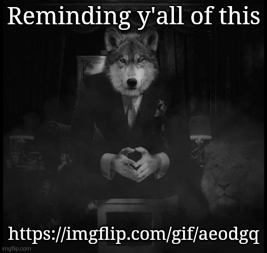 Wolf on a chair | Reminding y'all of this; https://imgflip.com/gif/aeodgq | image tagged in wolf on a chair | made w/ Imgflip meme maker