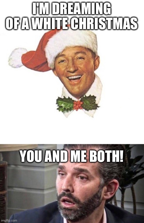 I'M DREAMING OF A WHITE CHRISTMAS YOU AND ME BOTH! | image tagged in bing crosby white christmas santa hat,don trump jr coked up facing left | made w/ Imgflip meme maker