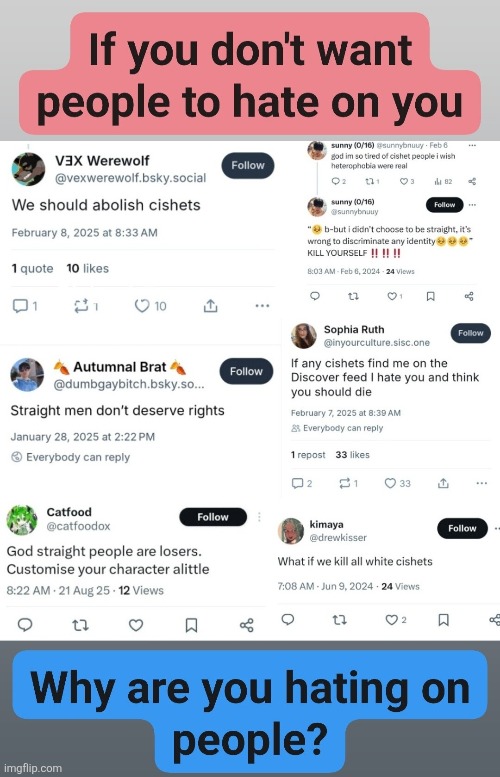 the left will foam out the mouth | image tagged in heterophobia is cringe | made w/ Imgflip meme maker