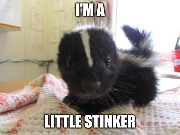 LITTLE STINKER | I'M A LITTLE STINKER | image tagged in little stinker | made w/ Imgflip meme maker
