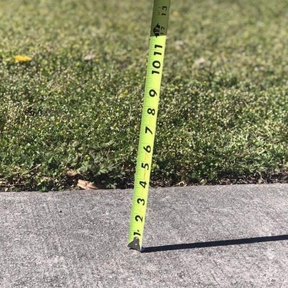 sunshine Blank Meme Template