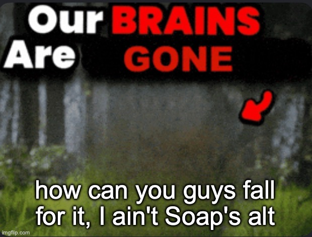 Our brains are GONE | how can you guys fall for it, I ain't Soap's alt | image tagged in our brains are gone | made w/ Imgflip meme maker