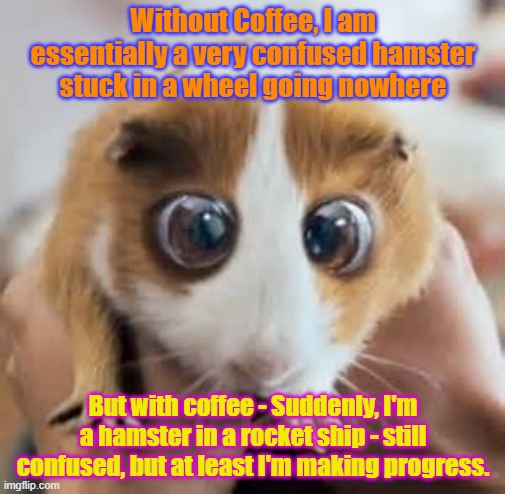 Confused Hamster | Without Coffee, I am essentially a very confused hamster stuck in a wheel going nowhere; But with coffee - Suddenly, I'm a hamster in a rocket ship - still confused, but at least I'm making progress. | image tagged in hamster,coffee | made w/ Imgflip meme maker