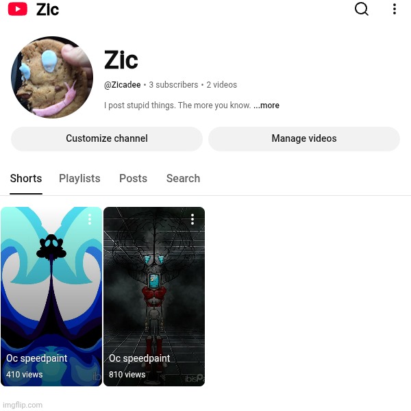 I changed how my YouTube Account looks. Is "Zic" a good name? | made w/ Imgflip meme maker