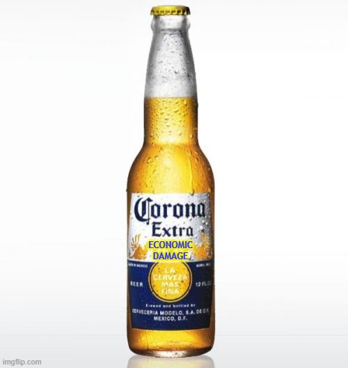 Corona Meme | ECONOMIC
DAMAGE | image tagged in memes,corona | made w/ Imgflip meme maker