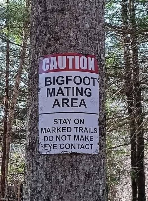 Bro what???! | made w/ Imgflip meme maker