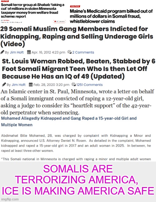 Somalis are terrorizing America | SOMALIS ARE TERRORIZING AMERICA, 
ICE IS MAKING AMERICA SAFE | made w/ Imgflip meme maker