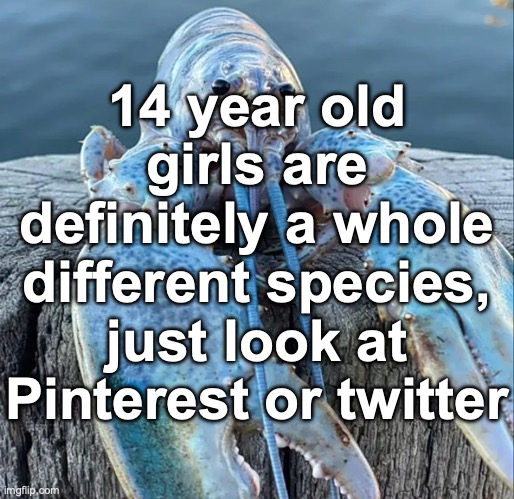 The Blue Lobster | 14 year old girls are definitely a whole different species, just look at Pinterest or twitter | image tagged in the blue lobster | made w/ Imgflip meme maker