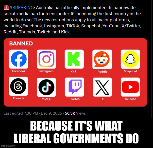 BECAUSE IT'S WHAT LIBERAL GOVERNMENTS DO | made w/ Imgflip meme maker