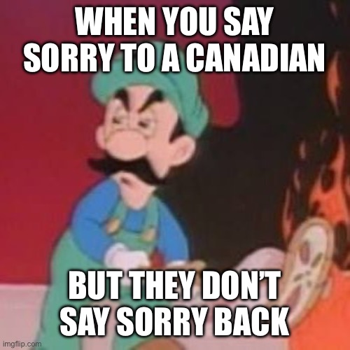 Hold up | WHEN YOU SAY SORRY TO A CANADIAN; BUT THEY DON’T SAY SORRY BACK | image tagged in wait what,canada,politics,funny,wholesome,america | made w/ Imgflip meme maker