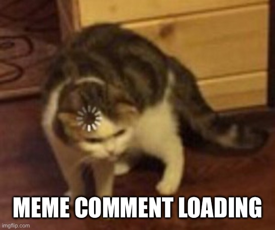 Meme comment | MEME COMMENT LOADING | image tagged in loading cat,comment | made w/ Imgflip meme maker