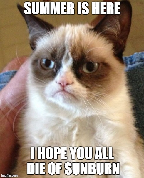 Grumpy Cat Meme | SUMMER IS HERE I HOPE YOU ALL DIE OF SUNBURN | image tagged in memes,grumpy cat | made w/ Imgflip meme maker