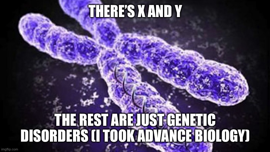 Chromosome | THERE’S X AND Y THE REST ARE JUST GENETIC DISORDERS (I TOOK ADVANCE BIOLOGY) | image tagged in chromosome | made w/ Imgflip meme maker