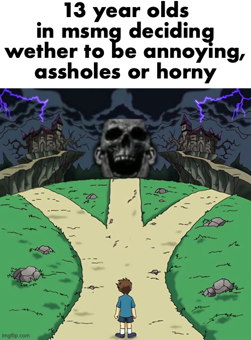 3 pathes | 13 year olds in msmg deciding wether to be annoying, assholes or horny | image tagged in 3 pathes | made w/ Imgflip meme maker