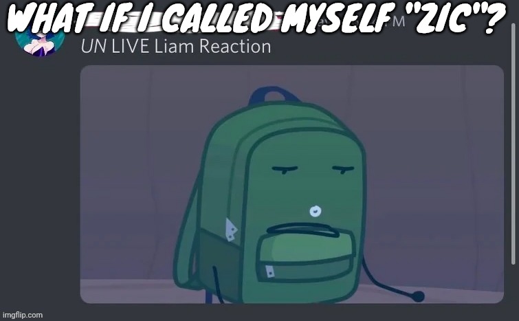 UN LIVE Liam reaction | WHAT IF I CALLED MYSELF "ZIC"? | image tagged in un live liam reaction | made w/ Imgflip meme maker