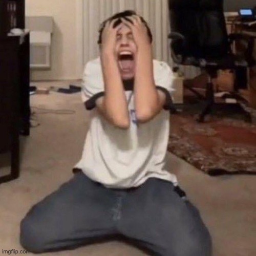 crash out | image tagged in crash out | made w/ Imgflip meme maker