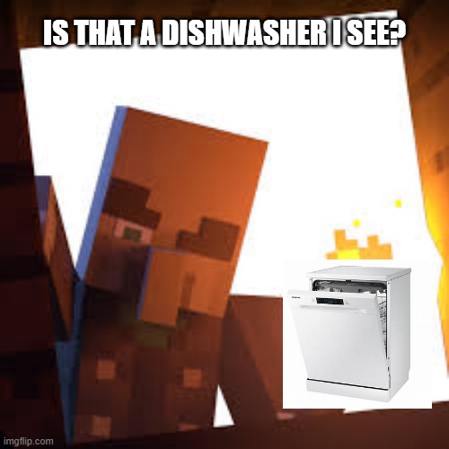 vindicator with torch | IS THAT A DISHWASHER I SEE? | image tagged in vindicator with torch | made w/ Imgflip meme maker