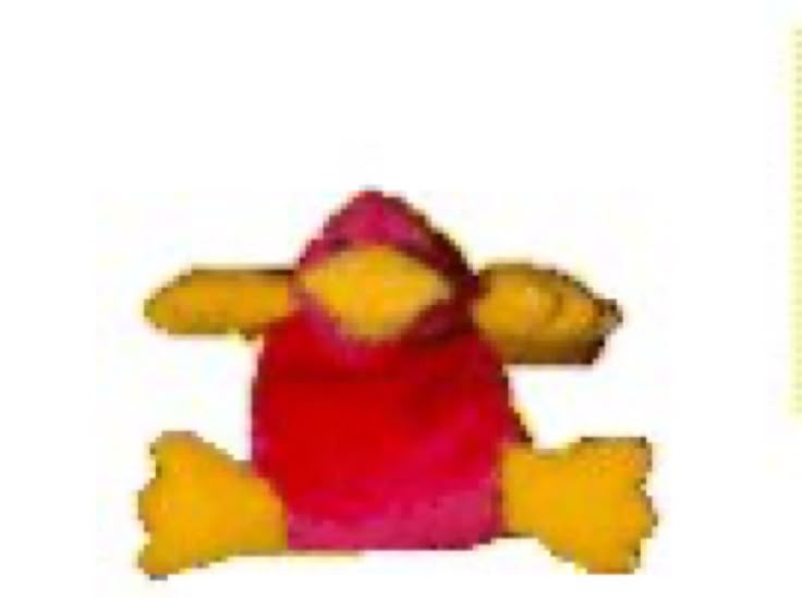 High Quality fucked up duck i think Blank Meme Template