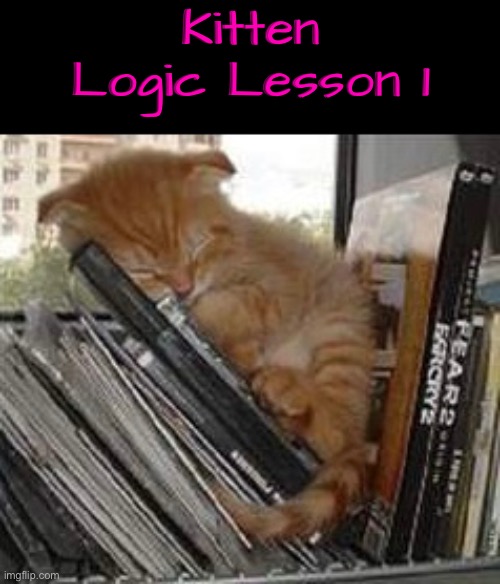 Kitten Logic | Kitten Logic Lesson 1 | image tagged in cats,funny cats,kittens,life lessons,logic,cute kittens | made w/ Imgflip meme maker
