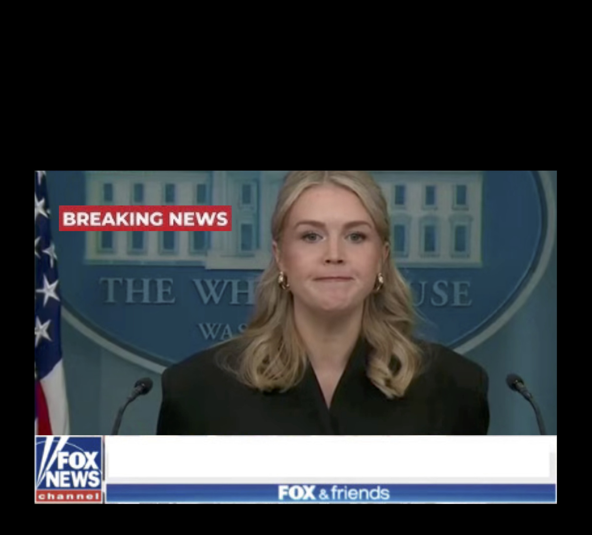 Karoline Leavitt Fox News Chiron Blank Meme Template
