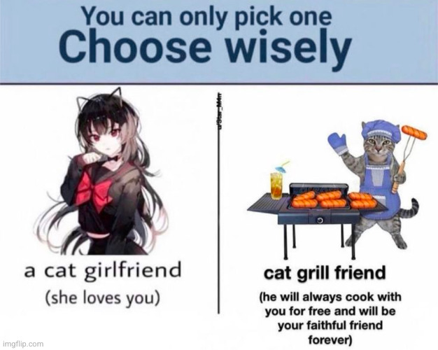 cat grill friend | image tagged in anime,cat girl,grill friend,cat,funny | made w/ Imgflip meme maker