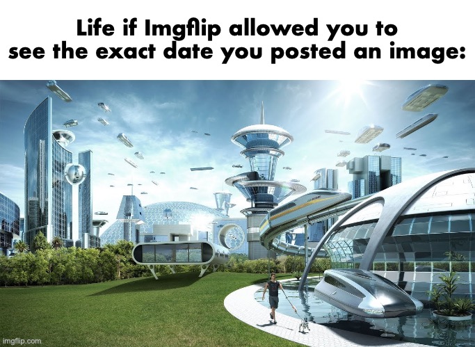 Life if | Life if Imgflip allowed you to see the exact date you posted an image: | image tagged in life if | made w/ Imgflip meme maker