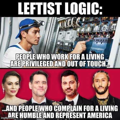 Completely Asinine | image tagged in liberal privilege,liberal logic,liberal hypocrisy,celebrities,communist socialist,duhhh dumbass | made w/ Imgflip meme maker