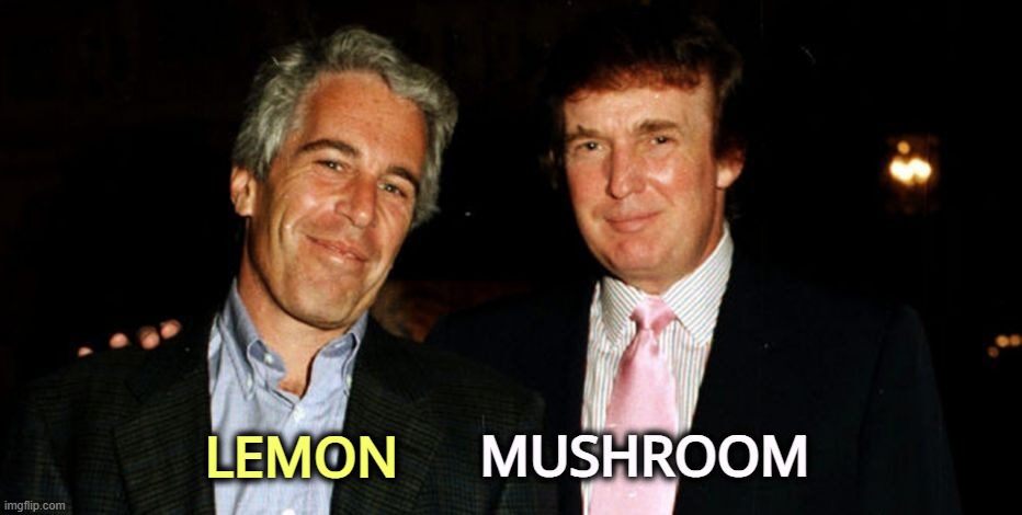 Veggies today! Kinda small veggies anyway. | MUSHROOM; LEMON | image tagged in trump epstein,trump,mushroom,jeffrey epstein,lemon | made w/ Imgflip meme maker