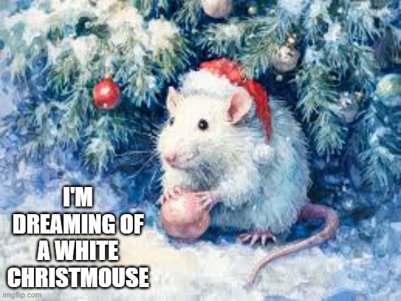 I'm dreaming of a "Merry Christmouse".  --  funny  --  Christmas  -- | I'M DREAMING OF A WHITE CHRISTMOUSE | image tagged in funny,humor,play on words,christmas,santa claus,mouse | made w/ Imgflip meme maker