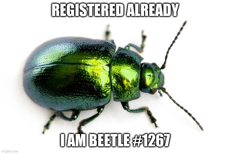 beetle | REGISTERED ALREADY; I AM BEETLE #1267 | image tagged in beetle | made w/ Imgflip meme maker