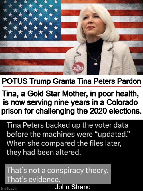 Please protect this good woman | ________________________________; POTUS Trump Grants Tina Peters Pardon; Tina, a Gold Star Mother, in poor health, 
is now serving nine years in a Colorado 
prison for challenging the 2020 elections. John Strand | image tagged in tina peters,pardon,donald trump,prison,evidence,election fraud | made w/ Imgflip meme maker
