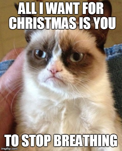 Grumpy Cat Meme | image tagged in memes,grumpy cat | made w/ Imgflip meme maker