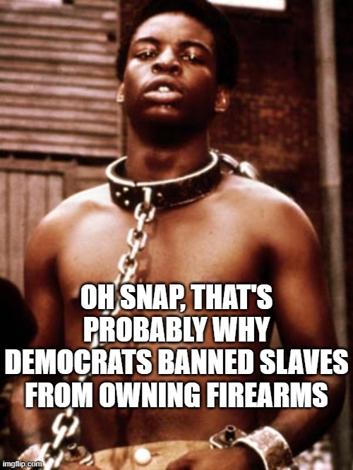 OH SNAP, THAT'S PROBABLY WHY DEMOCRATS BANNED SLAVES FROM OWNING FIREARMS | image tagged in kunta kinte | made w/ Imgflip meme maker