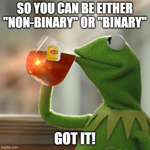 SO YOU CAN BE EITHER "NON-BINARY" OR "BINARY" GOT IT! | image tagged in memes,but that's none of my business,kermit the frog | made w/ Imgflip meme maker