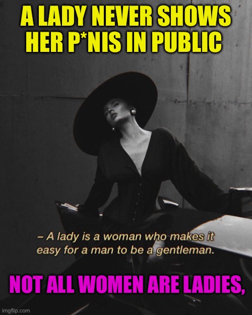 A Lady is a woman with discipline | A LADY NEVER SHOWS HER P*NIS IN PUBLIC; NOT ALL WOMEN ARE LADIES, | image tagged in lady,fun,gifs,women | made w/ Imgflip meme maker