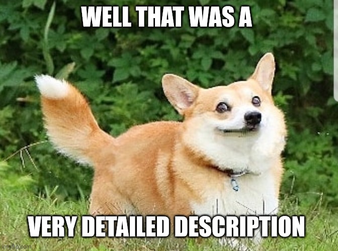 OK Boomer Corgi | WELL THAT WAS A VERY DETAILED DESCRIPTION | image tagged in ok boomer corgi | made w/ Imgflip meme maker