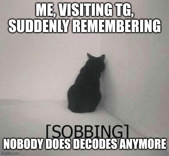 No more decodes | ME, VISITING TG, SUDDENLY REMEMBERING; NOBODY DOES DECODES ANYMORE | image tagged in sobbing cat | made w/ Imgflip meme maker