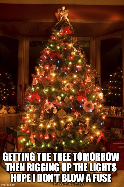 Christmas Tree | GETTING THE TREE TOMORROW 
THEN RIGGING UP THE LIGHTS 
HOPE I DON'T BLOW A FUSE | image tagged in christmas tree | made w/ Imgflip meme maker