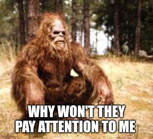 bigfoot | WHY WON'T THEY PAY ATTENTION TO ME | image tagged in bigfoot | made w/ Imgflip meme maker