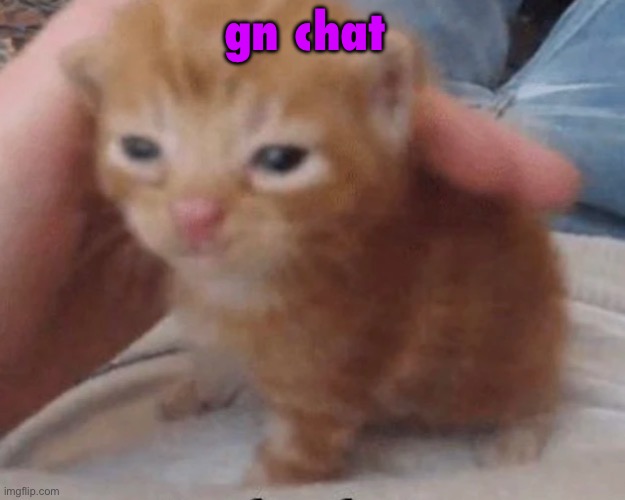 Herbert | gn chat | image tagged in herbert | made w/ Imgflip meme maker