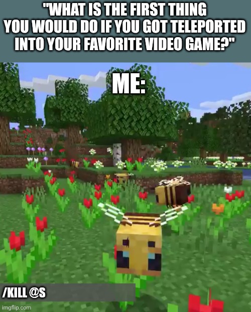 Depression | "WHAT IS THE FIRST THING YOU WOULD DO IF YOU GOT TELEPORTED INTO YOUR FAVORITE VIDEO GAME?"; ME:; /KILL @S | image tagged in minecraft bees | made w/ Imgflip meme maker